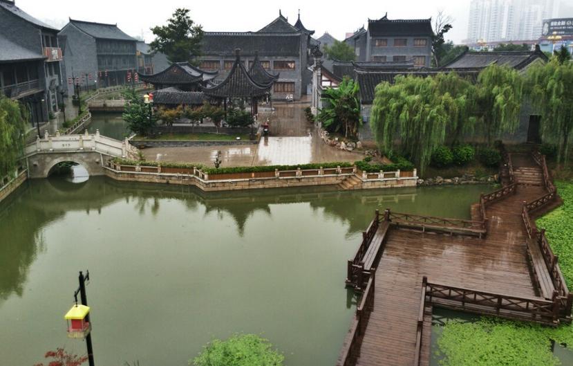 探索狮群厉害还是狼群厉害知识星球,共享精彩学习之旅